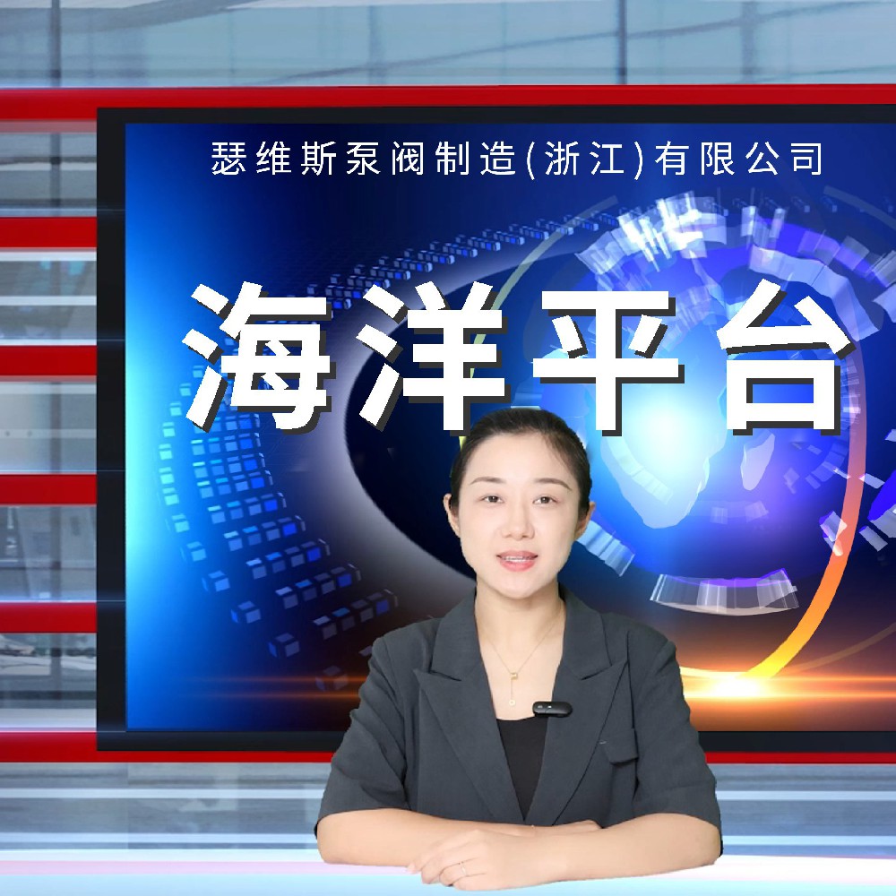 海洋平臺2